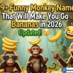 Funny Monkey Names 2026 – Cute, Hilarious & Cool Monkey Names for Pets, Gaming, and More 🐵🍌😂