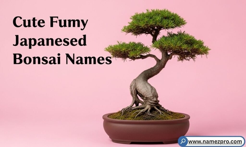 Cute Japanese-inspired funny bonsai names like Chibi, Mochi, and Kumo