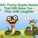 A cute ball python coiled near a tiny chef hat and a sign labeled "Noodle," representing funny snake names.