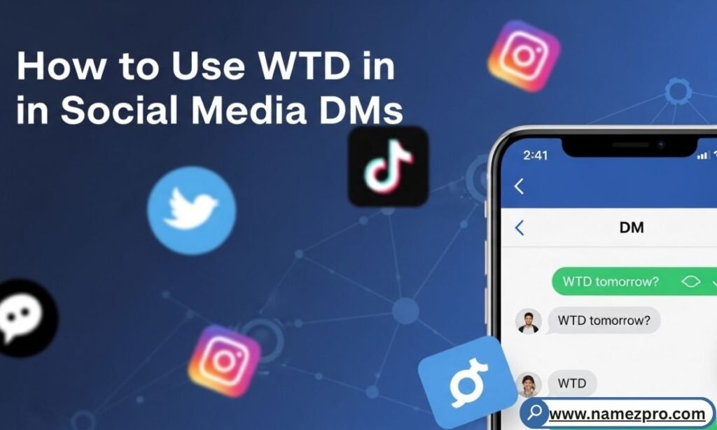 Close-up of Instagram and WhatsApp DM bubbles showing the WTD meaning in text used in a social media conversation.