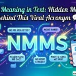 NMMS meaning in text acronym chat conversation on social media with viral texting slang explanation